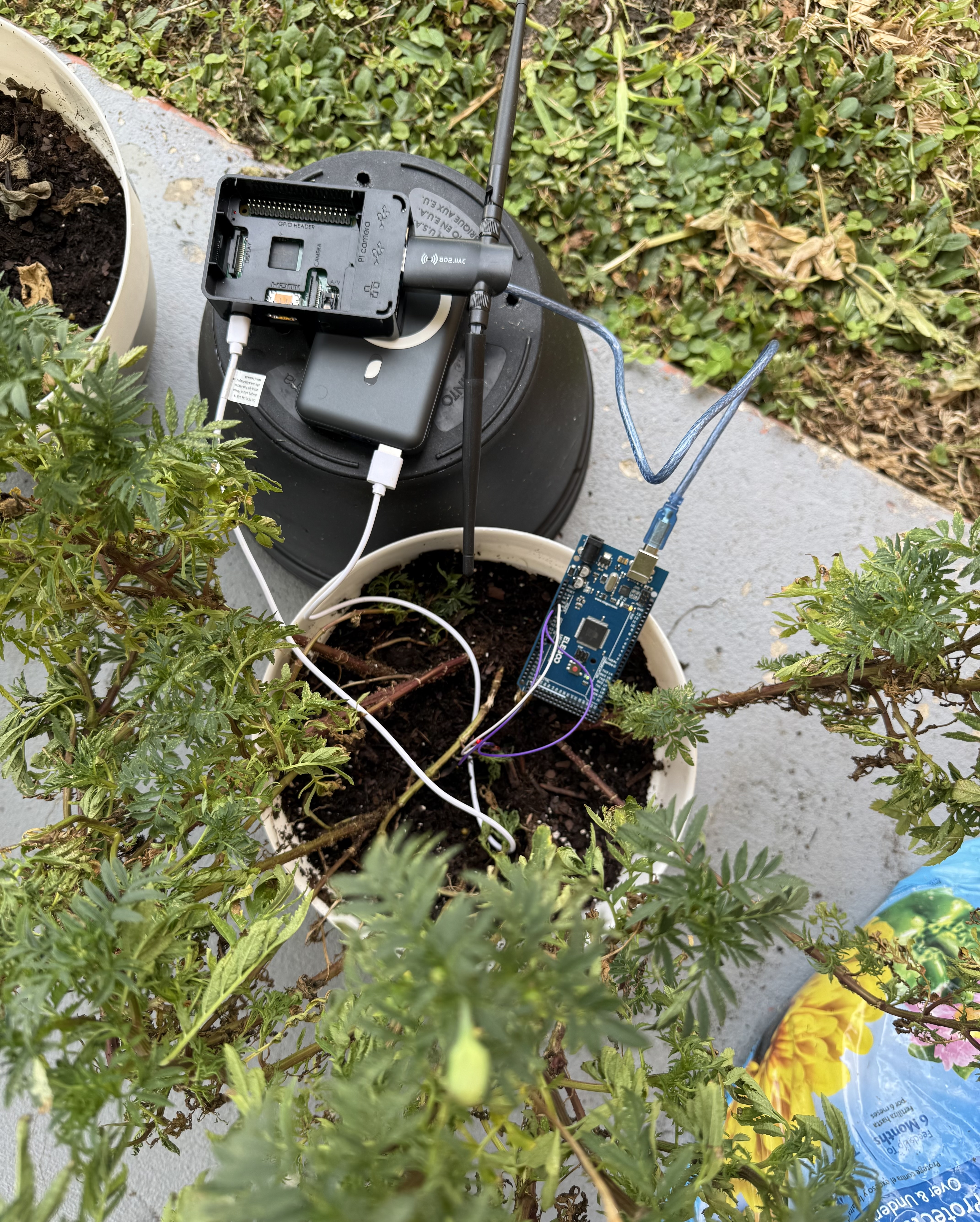 Plant_Monitoring System